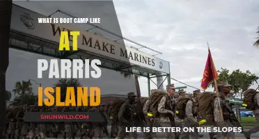 Parris Island Boot Camp: Rigorous Training, Discipline, and Transformation Revealed