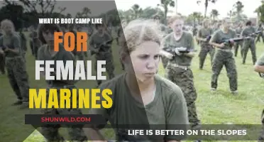 Female Marines Boot Camp: Challenges, Camaraderie, and Transformation Revealed