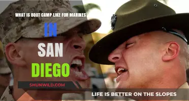 San Diego Marine Boot Camp: Rigorous Training, Discipline, and Transformation