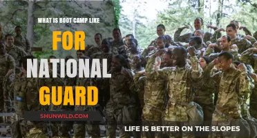 National Guard Boot Camp: Rigorous Training, Discipline, and Teamwork Explained