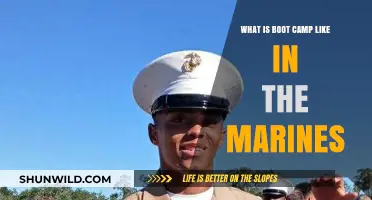 Marine Boot Camp: Rigorous Training, Discipline, and Transformation Explained