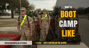 Unveiling Boot Camp Life: Challenges, Growth, and Transformation Explained