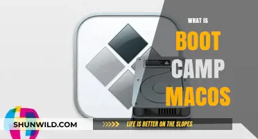 Understanding Boot Camp: How to Run Windows on Your macOS Device