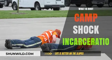 Understanding Boot Camp Shock Incarceration: A Comprehensive Guide