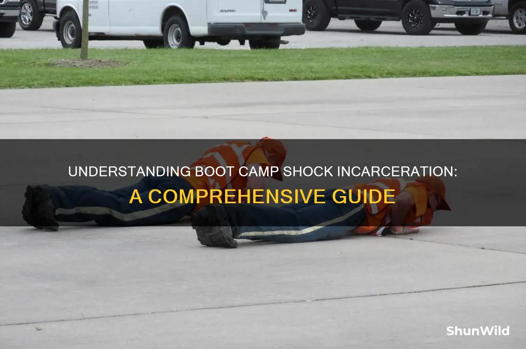 what is boot camp shock incarceration