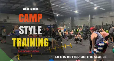Discover the Intense World of Boot Camp Style Training