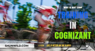 Cognizant Boot Camp Training: A Comprehensive Guide to the Program