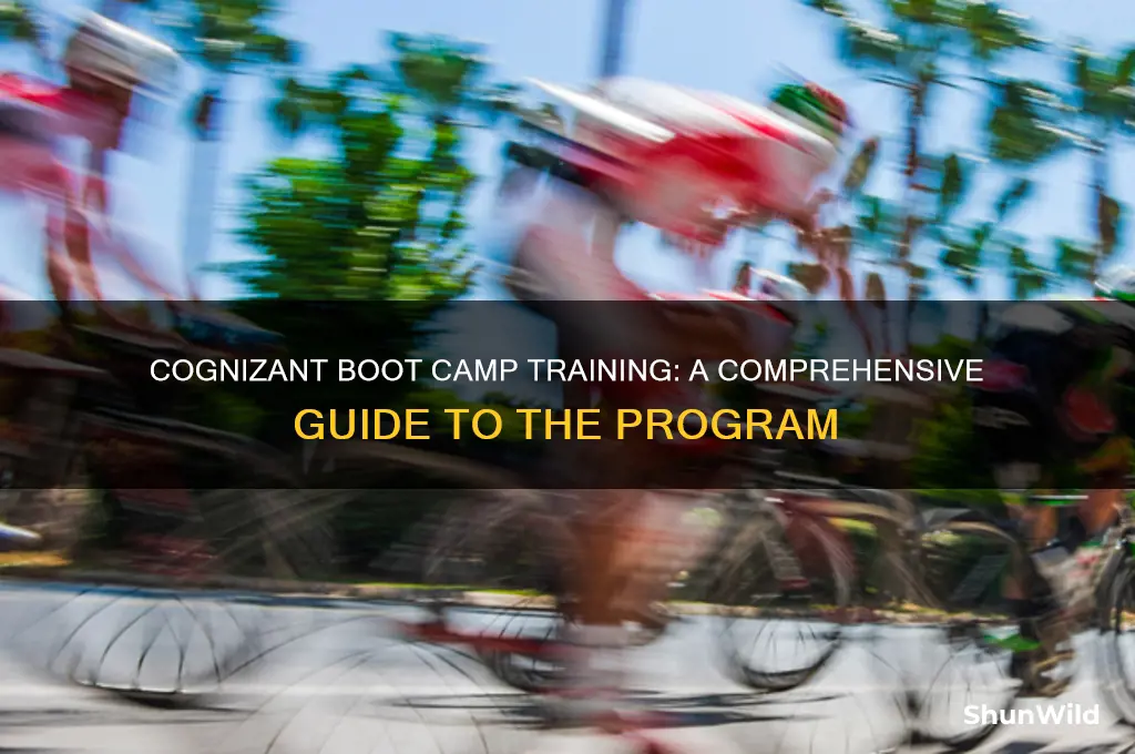 what is boot camp training in cognizant