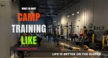 Experience the Intensity: A Deep Dive into Boot Camp Training
