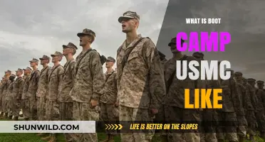 Inside USMC Boot Camp: Rigorous Training, Discipline, and Transformation Explained