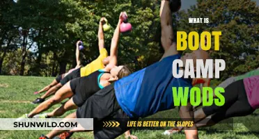 Understanding Boot Camp WODs: High-Intensity Workouts for Fitness Enthusiasts