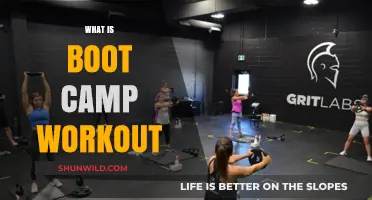 Discover the Intense World of Boot Camp Workouts: A Complete Guide