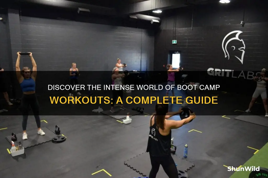 what is boot camp workout