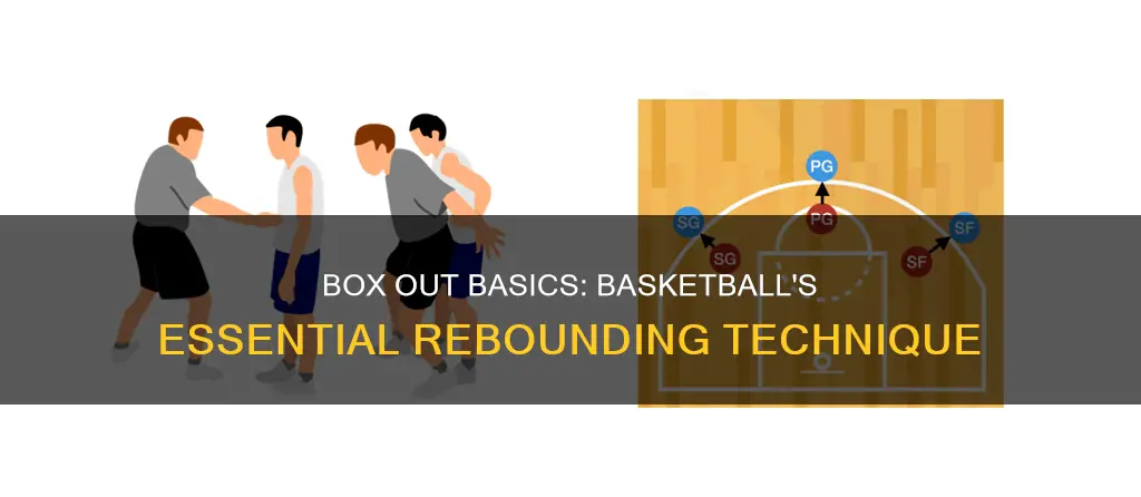 what is box out in basketball