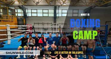 Unveiling the World of Boxing Camp: Training, Discipline, and Growth