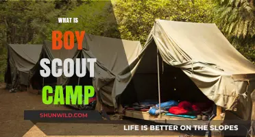 Exploring Boy Scout Camp: Adventure, Skills, and Outdoor Fun Explained