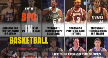 Understanding Basketball's BPG: Blocking Opponents' Shots