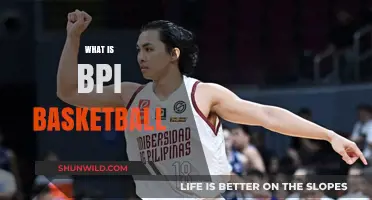 Basketball in the Philippines: The Thriving BPI League