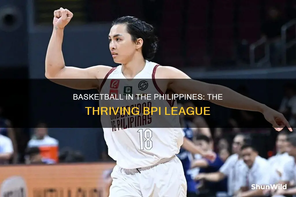 what is bpi basketball