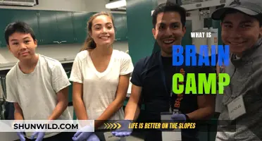 Unleash Your Potential: Discover the Power of Brain Camp
