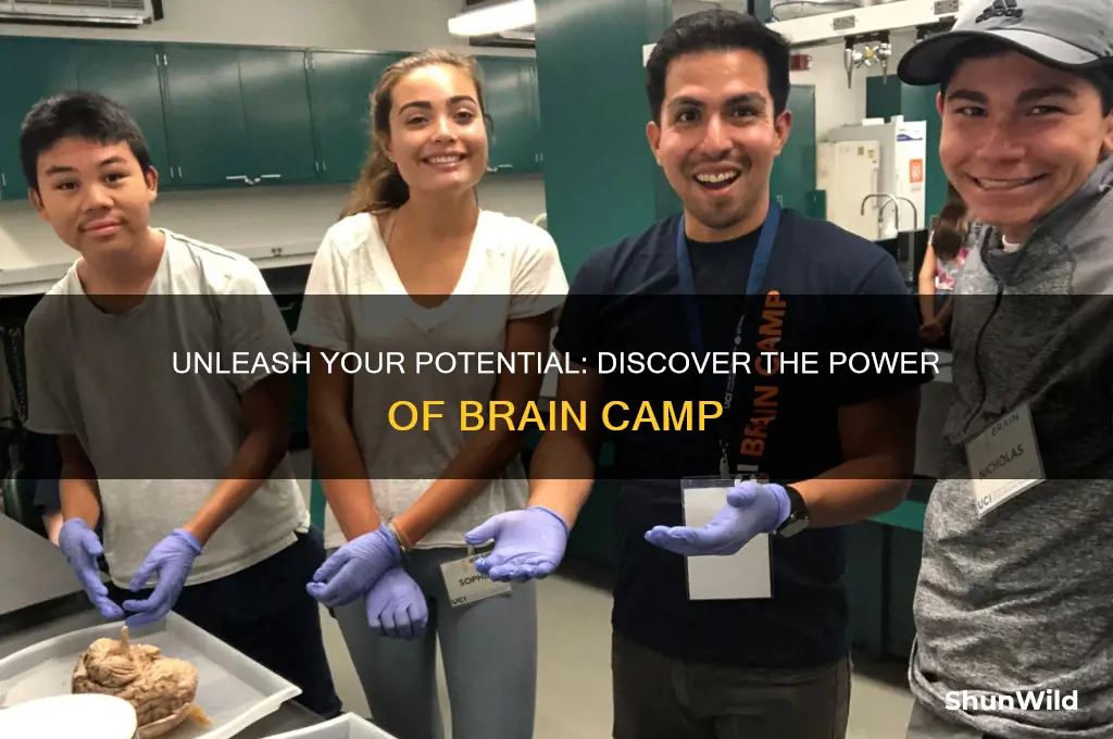 what is brain camp