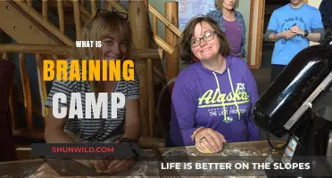 Unveiling Brain Camp: A Deep Dive into Cognitive Training Retreats