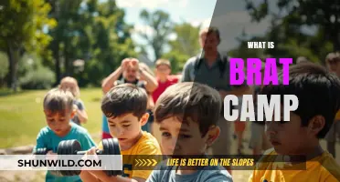 Understanding Brat Camp: A Guide to Teen Behavior Modification Programs