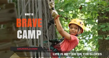 Discover Brave Camp: Empowering Adventures for Courageous Growth and Connection