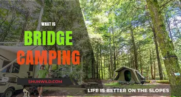 Exploring Bridge Camping: Unique Outdoor Adventure and Tips for Beginners