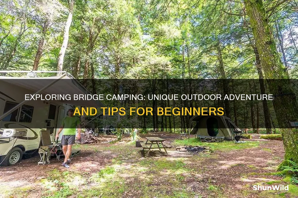 what is bridge camping