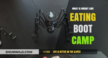 Discover Bright Line Eating Boot Camp: Transform Your Relationship with Food