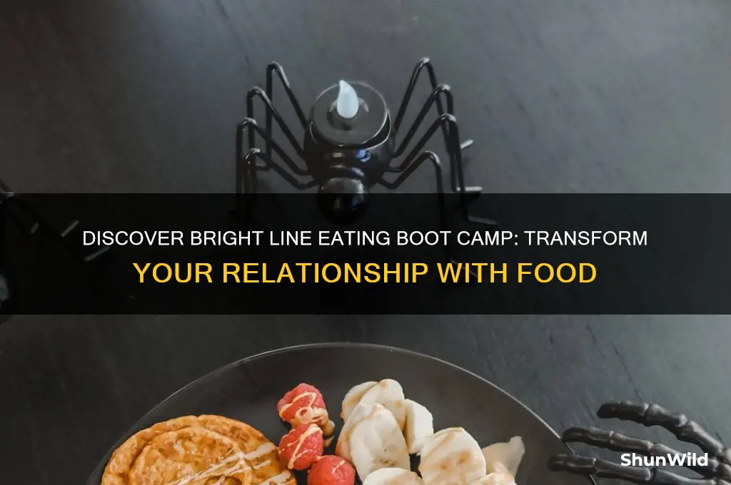 what is bright line eating boot camp