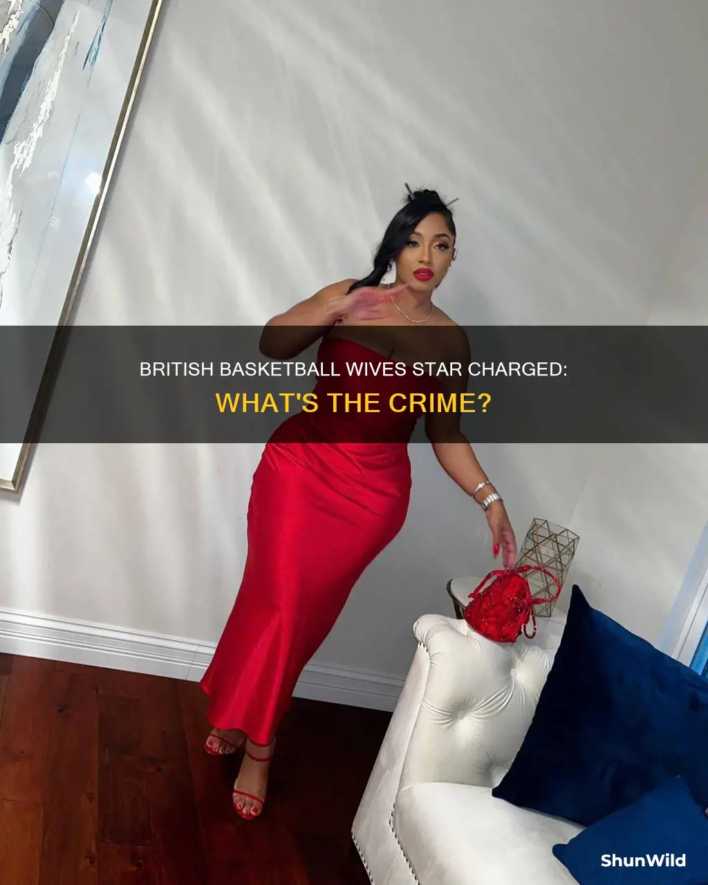 what is british from basketball wives being charged with