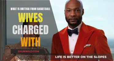 Basketball Wives Star's Legal Woes: What is Brittish Charged With?
