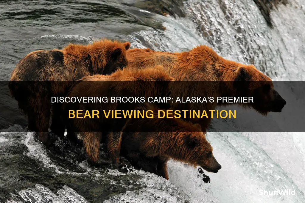 what is brooks camp
