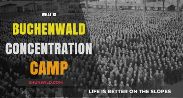 Buchenwald Concentration Camp: History, Horrors, and Legacy Explained