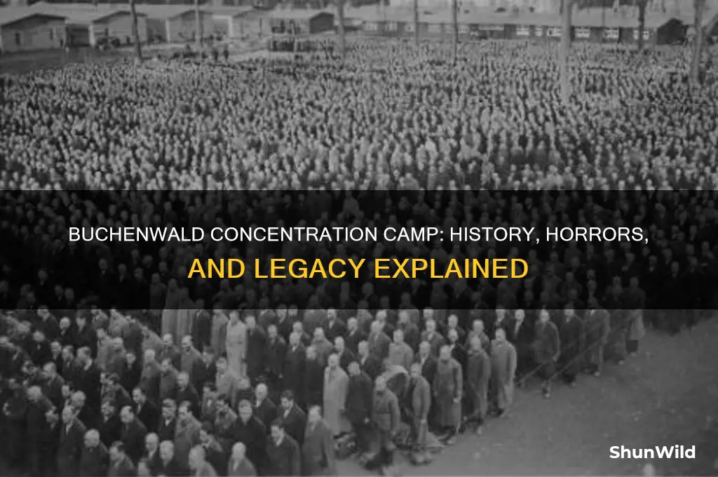 what is buchenwald concentration camp