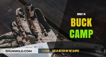 Exploring Buck Camp: A Beginner's Guide to Its Meaning and Purpose
