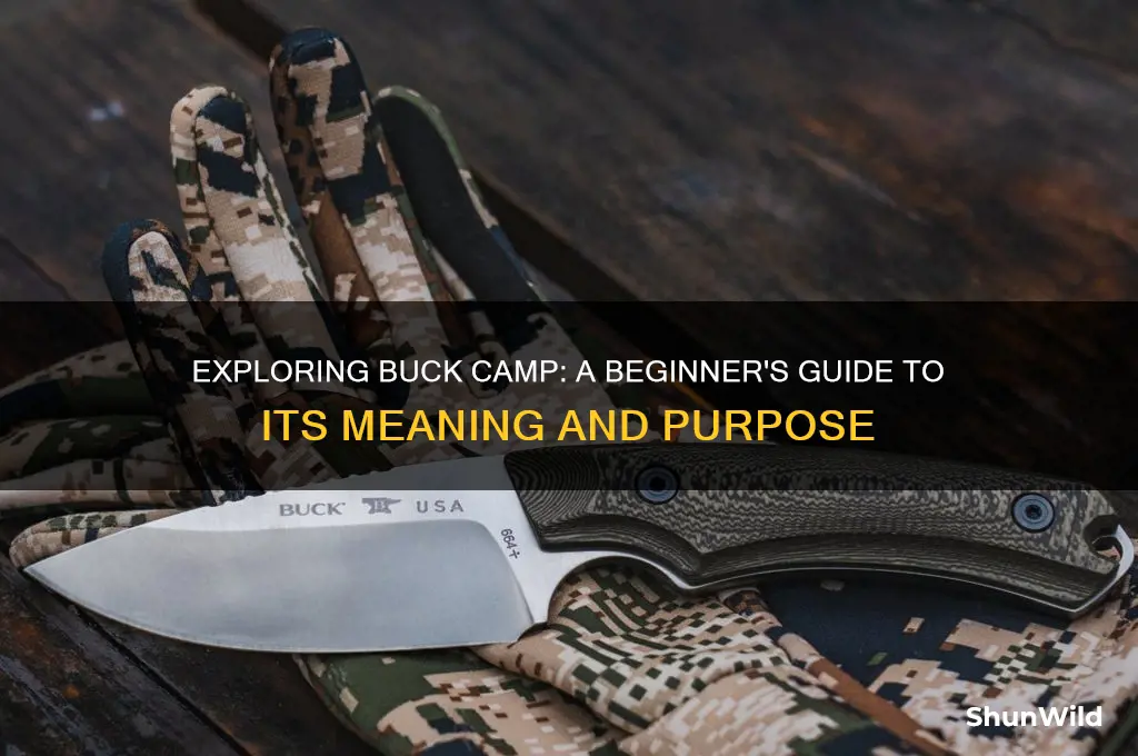 what is buck camp