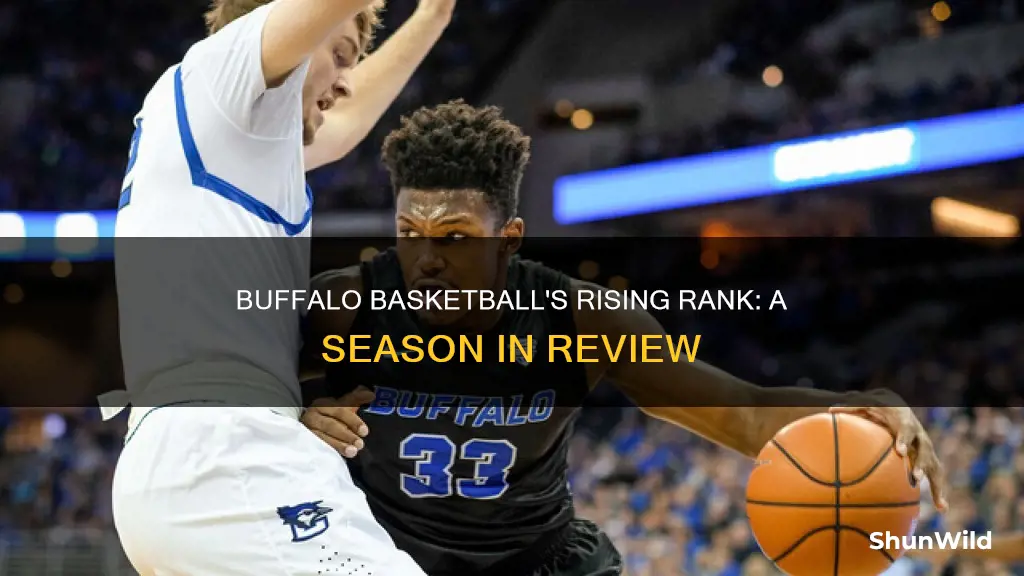 what is buffalo basketball ranked