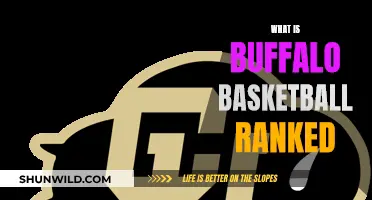 Buffalo Basketball: Ranked High, Going Higher?