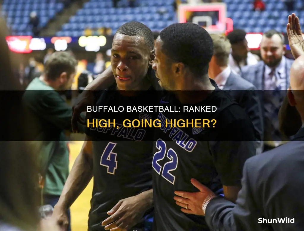 what is buffalo basketball ranked