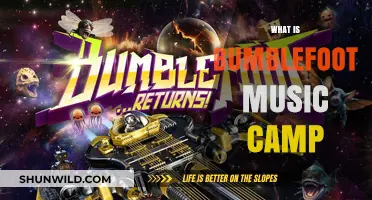 Discover Bumblefoot Music Camp: A Creative Retreat for Musicians