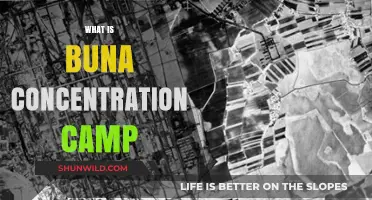 Buna Concentration Camp: History, Horrors, and Holocaust Legacy Explained