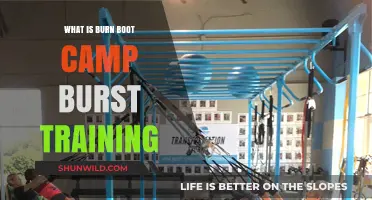 Burn Boot Camp Burst Training: High-Intensity Workouts Explained
