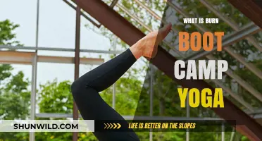Burn Boot Camp Yoga: Uniting High-Intensity Workouts with Mindful Flow