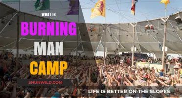 Unveiling the Magic: Understanding the Essence of a Burning Man Camp