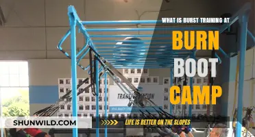 Discover Burst Training: Burn Boot Camp's High-Intensity Workout Explained