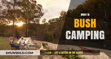 Exploring the Wild: What Is Bush Camping and Why Try It?