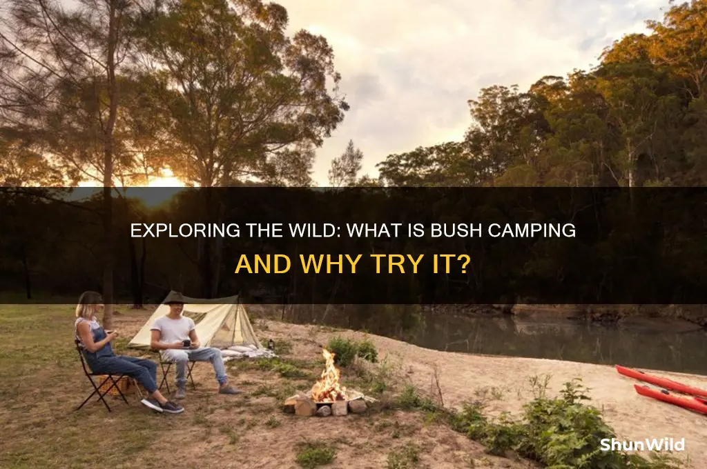 what is bush camping